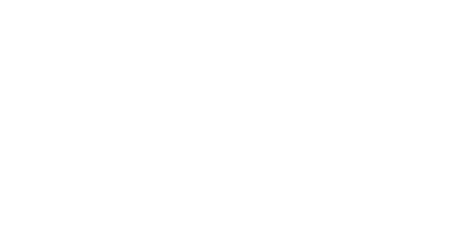 IMS Tecnica Industrial SL